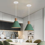 Nordic Wood Cone Pendant Light | 1-Light Lasson Living