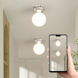Scandinavian Glass Globe Semi-Flush Ceiling Light | 1-Light Lasson Living