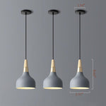Modern Macaron Disc Pendant 1-Light Lasson Living