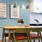 Modern Macaron Disc Pendant 1-Light Lasson Living