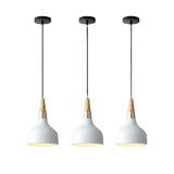 Modern Macaron Disc Pendant 1-Light Lasson Living