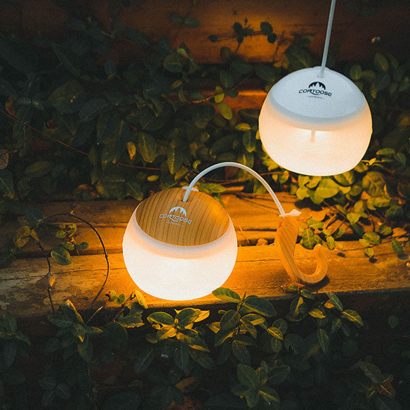 Portable USB Rechargeable LED Camping Tent Hanging 1-Light Lasson Living