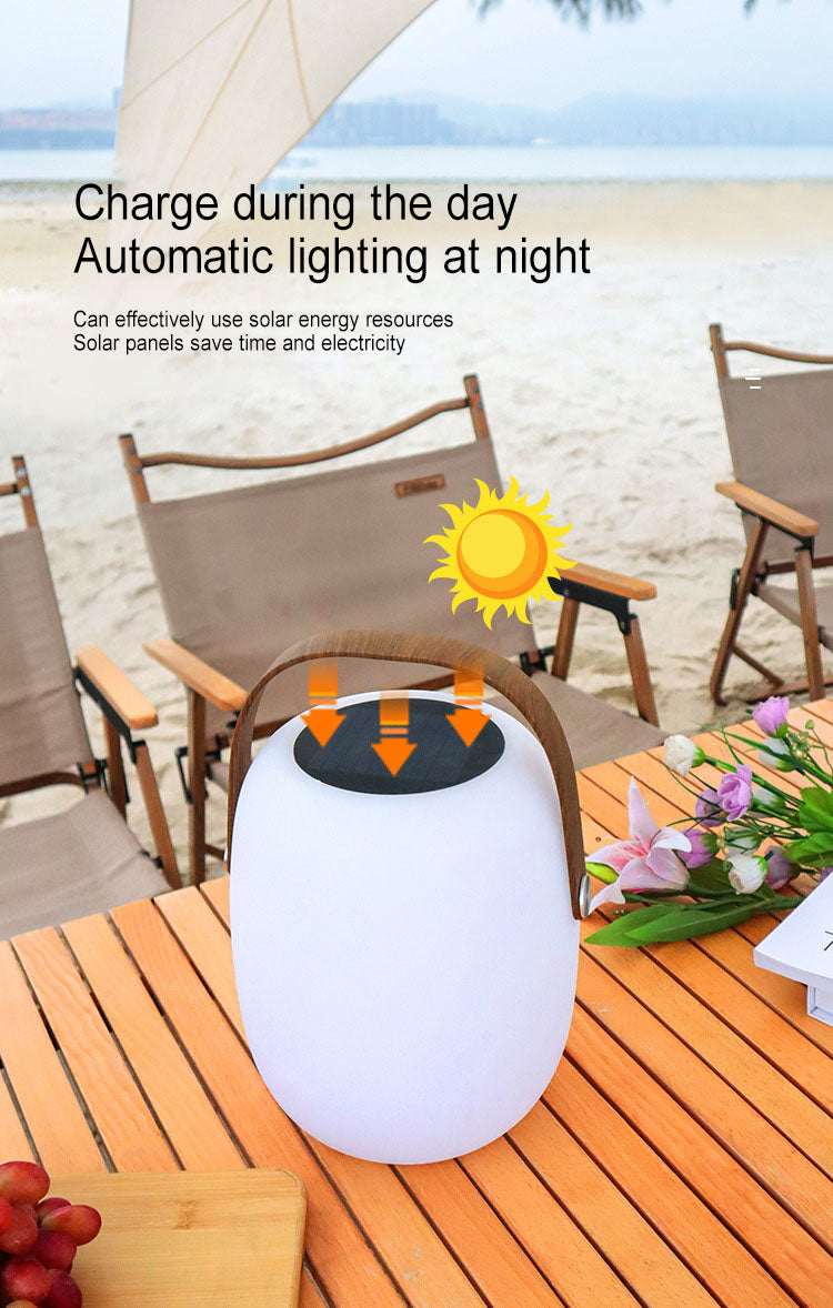 Modern Portable Solar LED Outdoor Lantern Light 1-light Lasson Living
