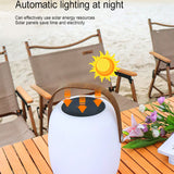 Modern Portable Solar LED Outdoor Lantern Light 1-light Lasson Living