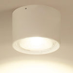 Nordic Cylinder LED Flush Mount Ceiling Light Lasson Living