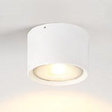 Nordic Cylinder LED Flush Mount Ceiling Light Lasson Living