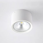 Nordic Cylinder LED Flush Mount Ceiling Light Lasson Living