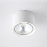 Nordic Cylinder LED Flush Mount Ceiling Light Lasson Living
