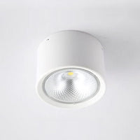 Nordic Cylinder LED Flush Mount Ceiling Light Lasson Living