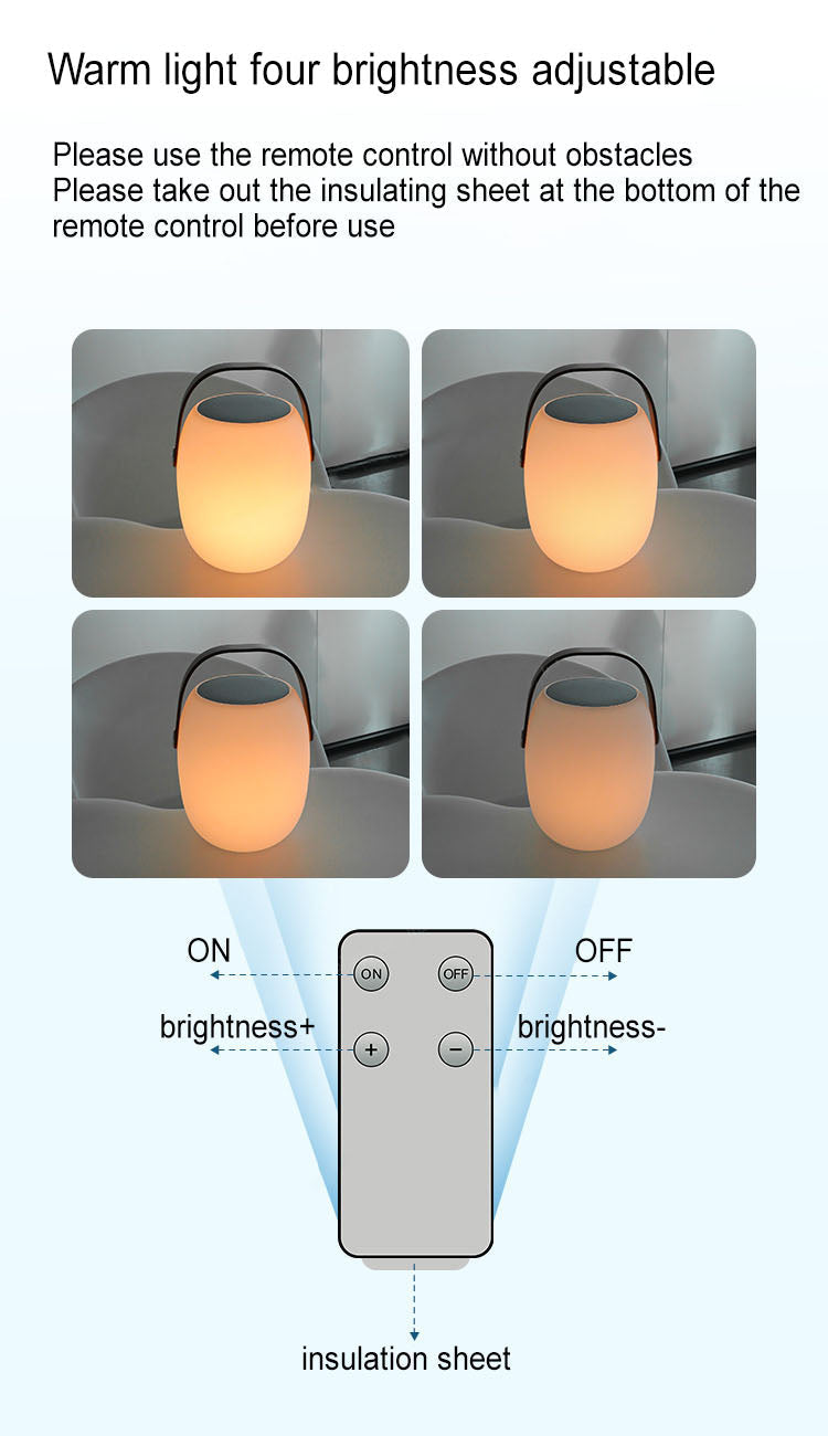 Modern Portable Solar LED Outdoor Lantern Light 1-light Lasson Living