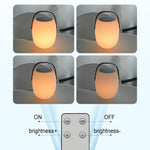 Modern Portable Solar LED Outdoor Lantern Light 1-light Lasson Living