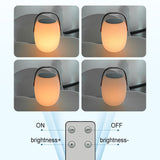 Modern Portable Solar LED Outdoor Lantern Light 1-light Lasson Living
