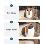 Modern Portable Solar LED Outdoor Lantern Light 1-light Lasson Living
