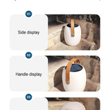 Modern Portable Solar LED Outdoor Lantern Light 1-light Lasson Living