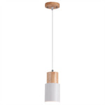 Nordic Wood Cylinder LED 1-Light Pendant Light Lasson Living