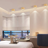 Nordic Cylinder LED Flush Mount Ceiling Light Lasson Living