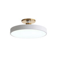 Modern Brass Round LED Ceiling Light 1-Light Lasson Living