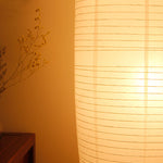Nordic Rice Paper Column 2-Light Floor Lamp Lasson Living
