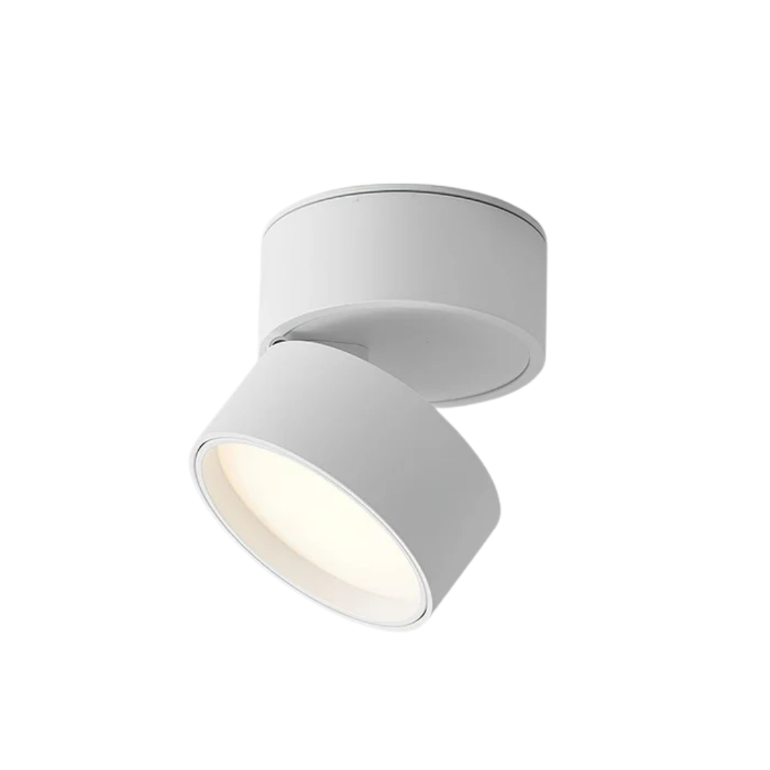 Modern Adjustable LED Ceiling Light 1-Light Lasson Living