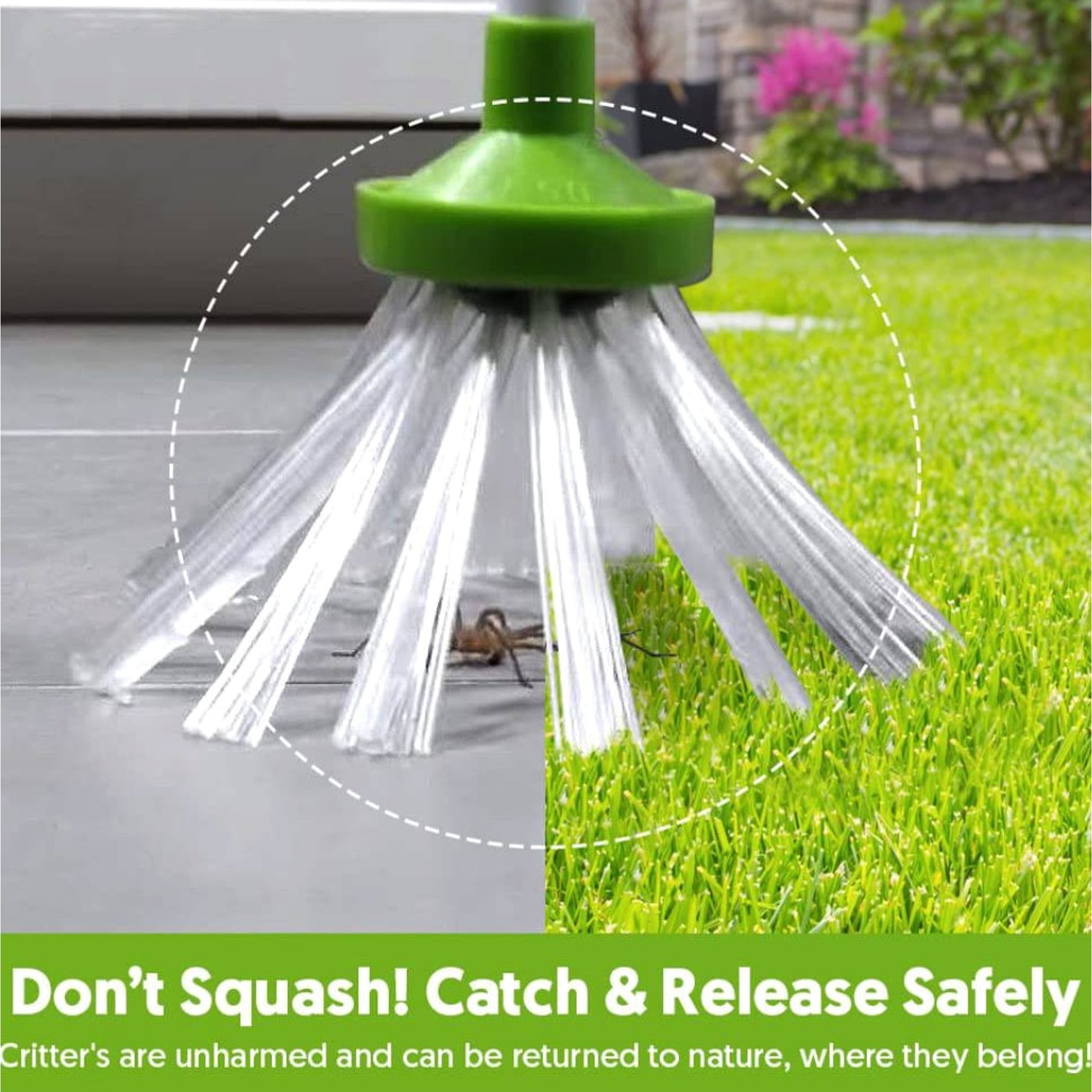 33-Inch Bug Catcher With Humane Bristle Mechanism And Foldable Handle - Image 5
