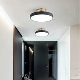 Modern Brass Round LED Ceiling Light 1-Light Lasson Living