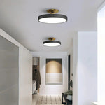 Modern Brass Round LED Ceiling Light 1-Light Lasson Living