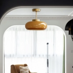 Vintage Glass Ceiling Light 1-Light Lasson Living