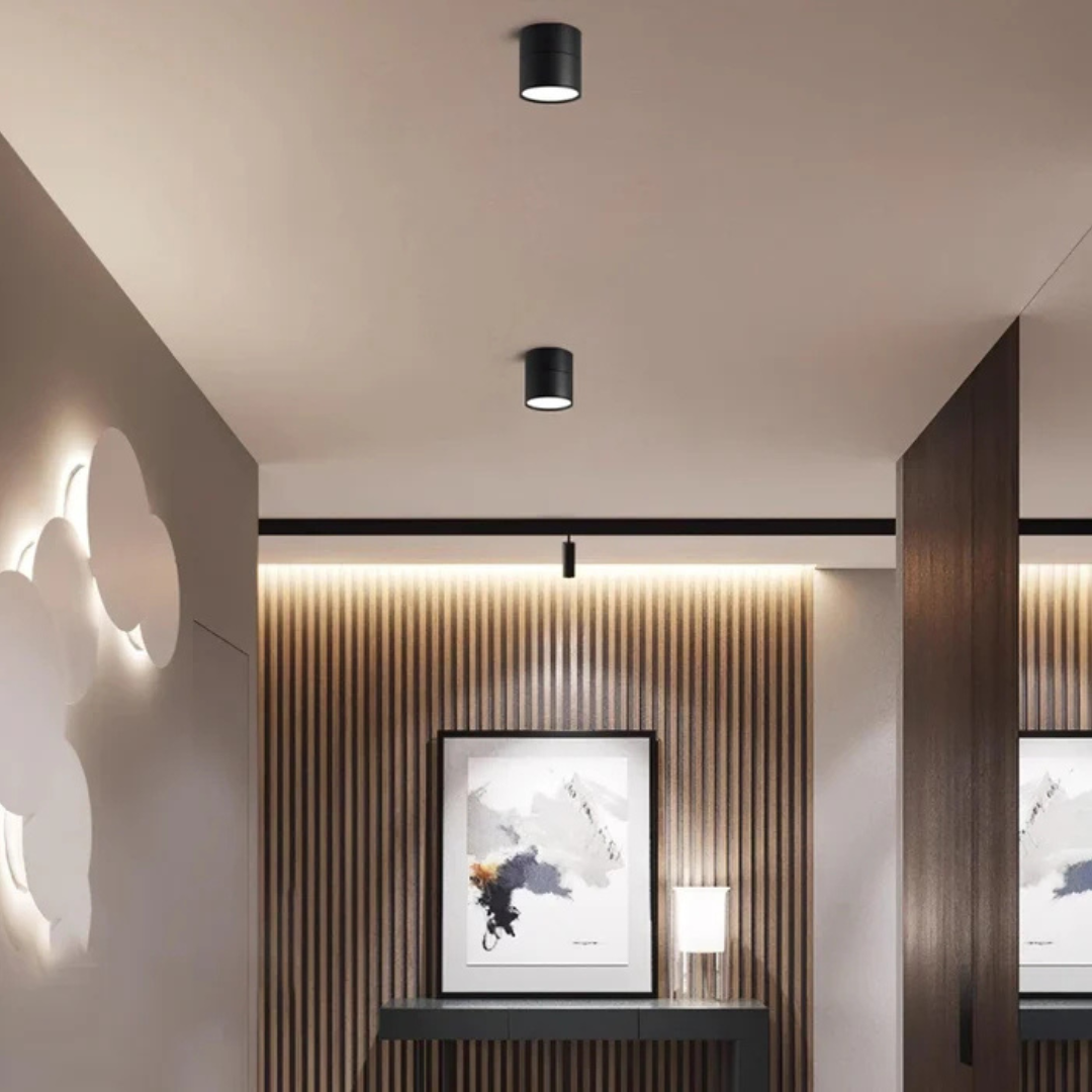Modern Adjustable LED Ceiling Light 1-Light Lasson Living