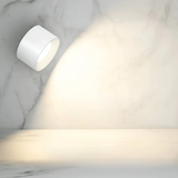 Modern Wood Grain LED Wall Light 1-Light Lasson Living