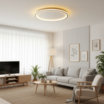Scandinavian LED Round Ceiling Lamp | 1-Light Lasson Living
