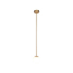 Minimalist Brass Globe Glass Pendant 1-Light Lasson Living