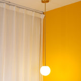 Minimalist Brass Globe Glass Pendant 1-Light Lasson Living