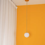 Minimalist Brass Globe Glass Pendant 1-Light Lasson Living