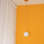 Minimalist Brass Globe Glass Pendant 1-Light Lasson Living
