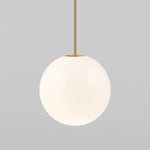 Minimalist Brass Globe Glass Pendant 1-Light Lasson Living