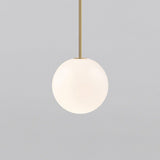 Minimalist Brass Globe Glass Pendant 1-Light Lasson Living