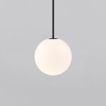 Minimalist Brass Globe Glass Pendant 1-Light Lasson Living