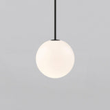 Minimalist Brass Globe Glass Pendant 1-Light Lasson Living