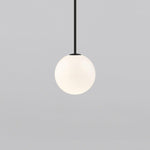 Minimalist Brass Globe Glass Pendant 1-Light Lasson Living