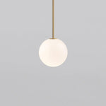 Minimalist Brass Globe Glass Pendant 1-Light Lasson Living