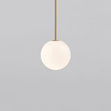 Minimalist Brass Globe Glass Pendant 1-Light Lasson Living