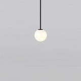 Minimalist Brass Globe Glass Pendant 1-Light Lasson Living