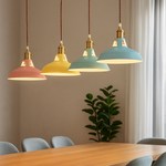 Industrial Colourful Metal Dome Pendant Light LED 1-light Lasson Living
