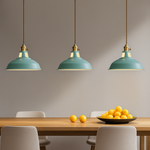 Industrial Colourful Metal Dome Pendant Light LED 1-light Lasson Living