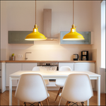 Industrial Colourful Metal Dome Pendant Light LED 1-light Lasson Living