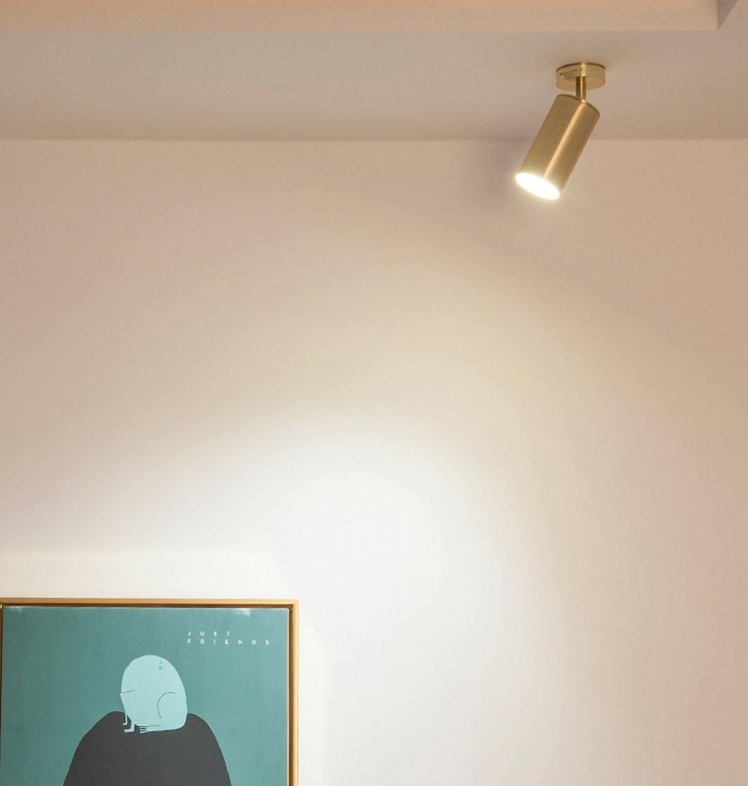 Modern Brass Double Cylinder Adjustable Wall Spotlight Lasson Living