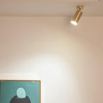 Modern Brass Double Cylinder Adjustable Wall Spotlight Lasson Living