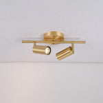 Modern Brass Double Cylinder Adjustable Wall Spotlight Lasson Living
