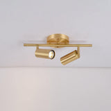 Modern Brass Double Cylinder Adjustable Wall Spotlight Lasson Living