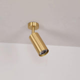 Modern Brass Double Cylinder Adjustable Wall Spotlight Lasson Living
